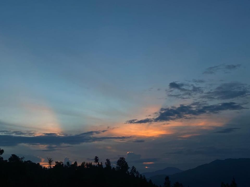 Kaffer homestay ( shangdhan pine homestay) Vacation rental in West Bengal