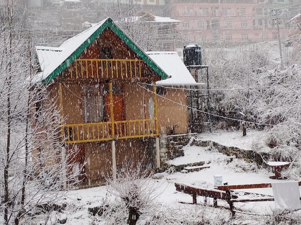 Pumpkin Stays Boutique Cottages And Tree House Hotel in Himachal Pradesh