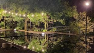 Sokcho Floating Whale Seorak Dojeok Waterfall Stay Bed and Breakfast in South Korea