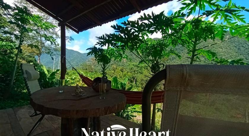Native Heart Amazon Lodge Lodge in San Martin, Peru