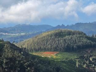 KALON ELPIS  Tea Estate 4BHK Villa  Villa in Kerala