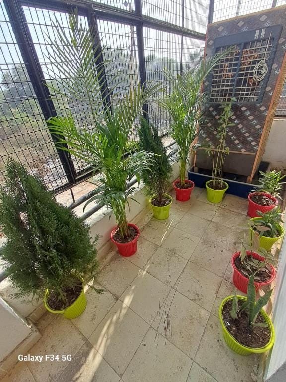 Krishnashray Home stay Hotel in Uttar Pradesh