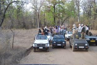 Palash kothi  bandhavgarh Campground/ 
RV Resort in India