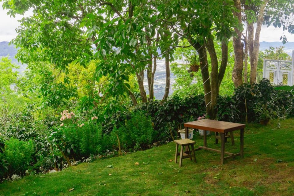 Vuon Hong Le Phuc - Cau Dat Glamping Retreat Da Lat Luxury tent in Dalat
