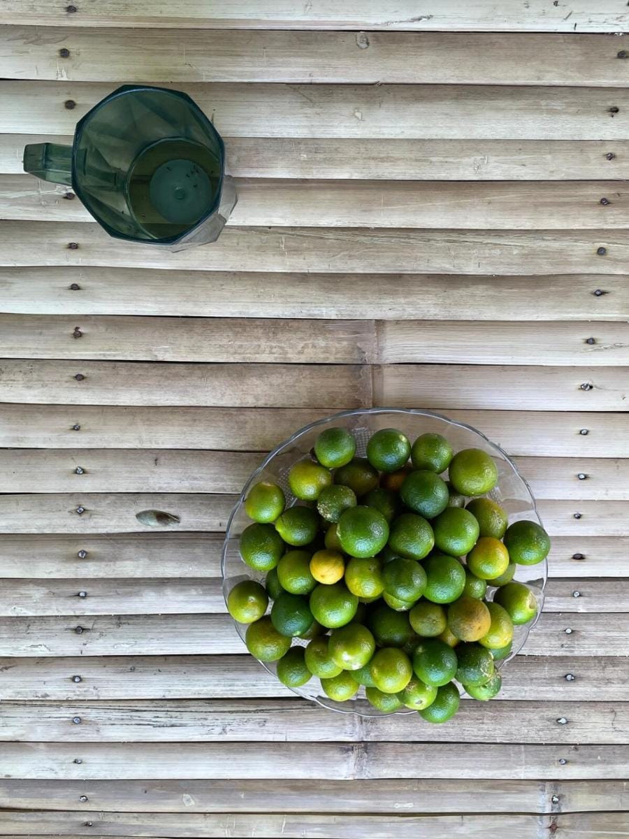 Calamansi Garden  Vacation rental in Siargao Island