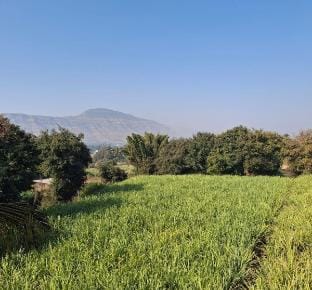 Samartha Krupa Homestay Vacation rental in Maharashtra