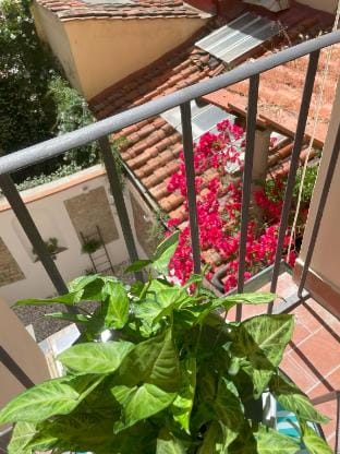Michelangiolo Appartment Apartment in Florence