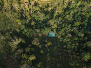 2BHK Stone Villa Verdant Hills Vagamon Vacation rental in Kerala