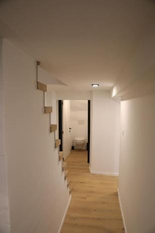 Denise- Belle epoque apartment with modern comfort Vacation rental in Flanders