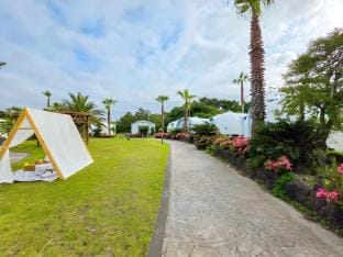 Jeju Olledom Pool Villa Private Pension Bed and Breakfast in South Korea