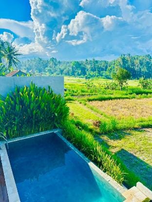 Balisen Luxury Villas - Villa Lukas Villa in Karangasem Regency