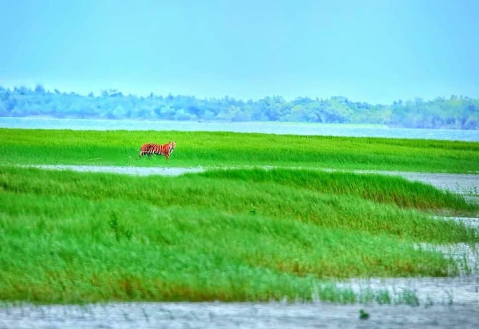 Jo'stel Hotel Tufan - Sundarban Hotel in West Bengal