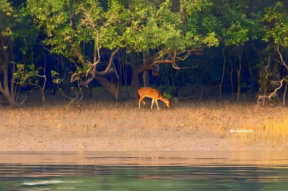 Jo'stel Hotel Tufan - Sundarban Hotel in West Bengal