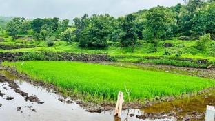 Kaladri Sahyadri Hill Farm Stay Farm Stay in Maharashtra