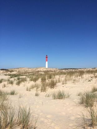 Quiet mobile home in a family campsite JF383 Vacation rental in Les Mathes