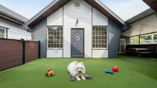 Hongcheon Lucky Dog Pension Bed and Breakfast in Gyeonggi-do