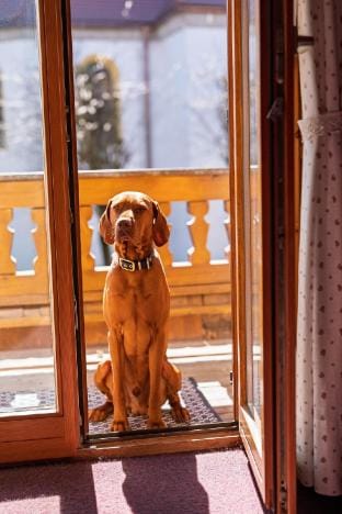 Standard double room with balcony Vacation rental in Grassau
