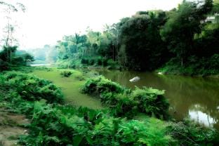 Cozinn R121 Vacation rental in Kerala