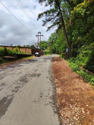 Pine Forest Homestay Vacation rental in Bangladesh