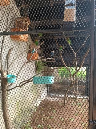 House of Skuy Living -
country side Vacation rental in West Java