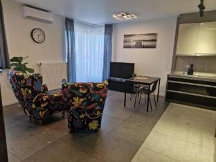 Apartment Katowice Tysiąclecie Vacation rental in Poland