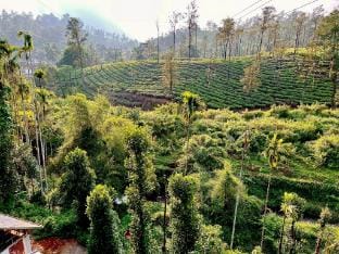 SEVERN VALLEY JUNGLE VILLA Villa in Kerala
