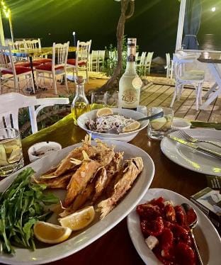 Tiny Home for 4 • Beachfront Comfort Vacation rental in Decentralized Administration of the Aegean