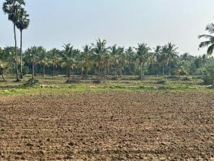 Tharissu potta farm stay Farm Stay in Kerala