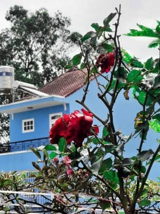 Tina Family Vacation rental in Dalat