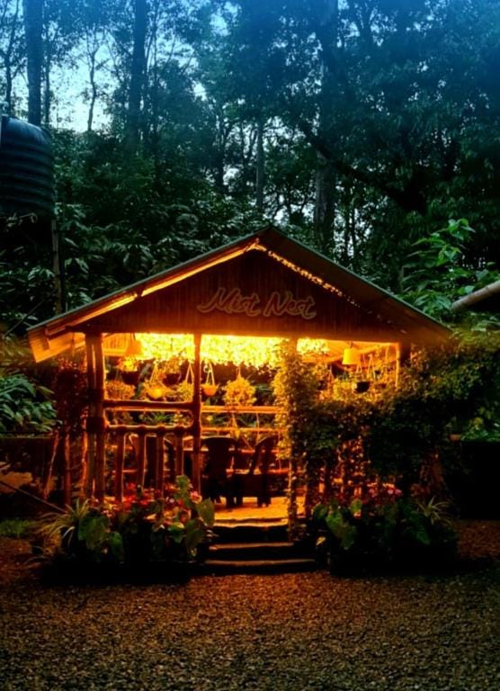 Mist Nest Hotel in Kerala