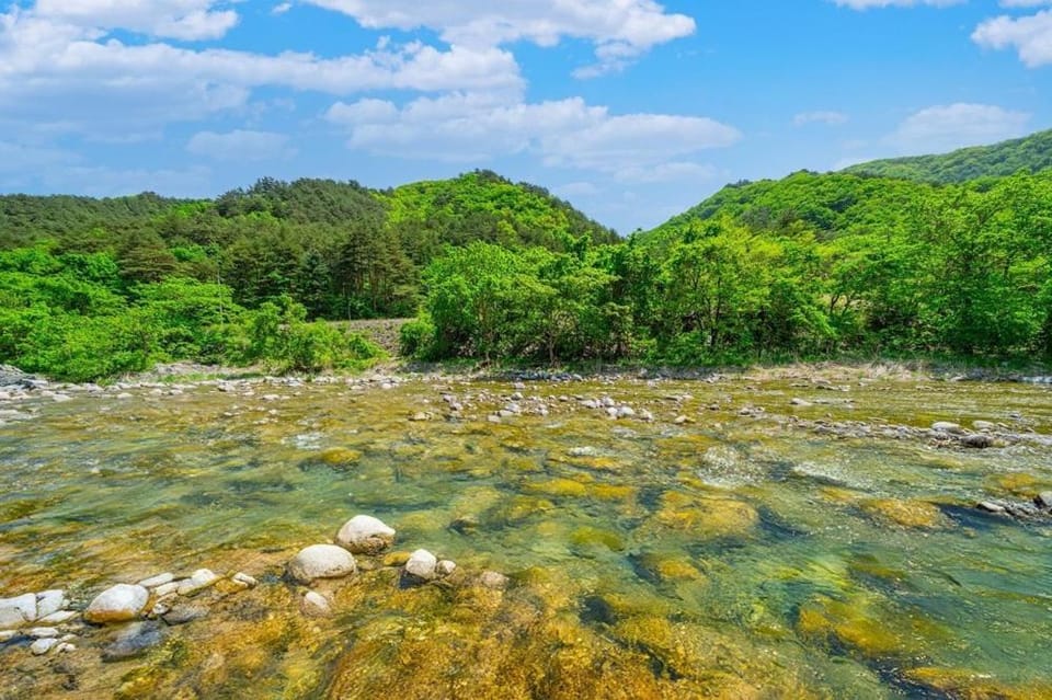 Pension Ann Bed and Breakfast in South Korea