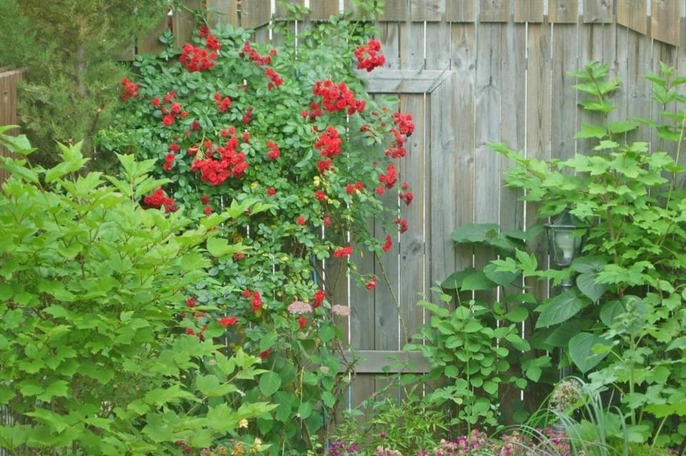 Tasha's Garden Private Pension Jeonju Hanok Village Bed and Breakfast in South Korea