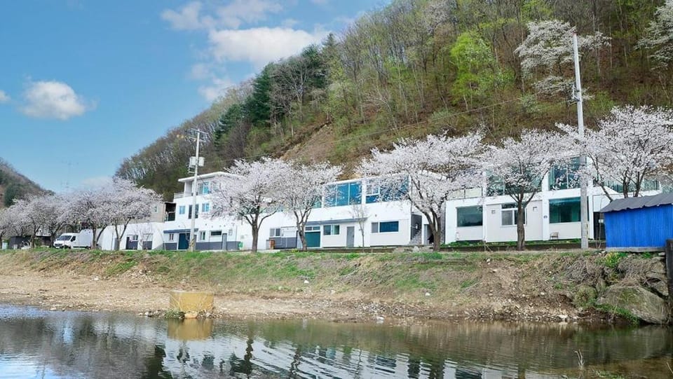 Gapyeong Eco Healing Pool Villa Pension Bed and Breakfast in Gyeonggi-do