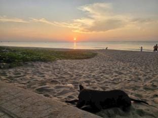 ocean villa Villa in Phan Thiet