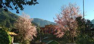 Eden's Homestay Vacation rental in India