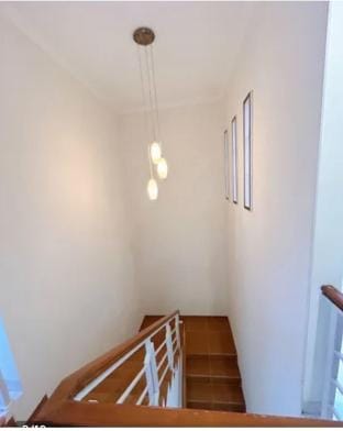 Fnf homestay Vacation rental in Special Region of Yogyakarta