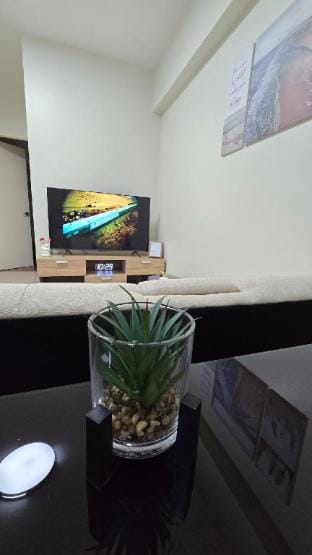 AK Residence 2 Bedroom w/ wifi Netflix and Disney+ Apartment in Pasig
