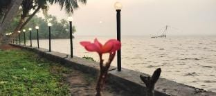Blue Lagoon Resort (Sambranikodi) Vacation rental in Kerala