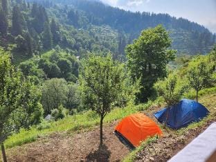Meet by coo-incidence 
A place to live life Vacation rental in Himachal Pradesh
