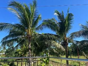 Cozy BR w/ Private Bath • AC • Free Parking & WiFi Vacation rental in Central Visayas