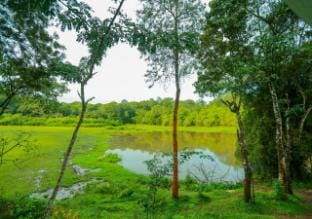 Tusker Inn Forest Lodge l 3 BHK Luxury Villa Villa in Kerala