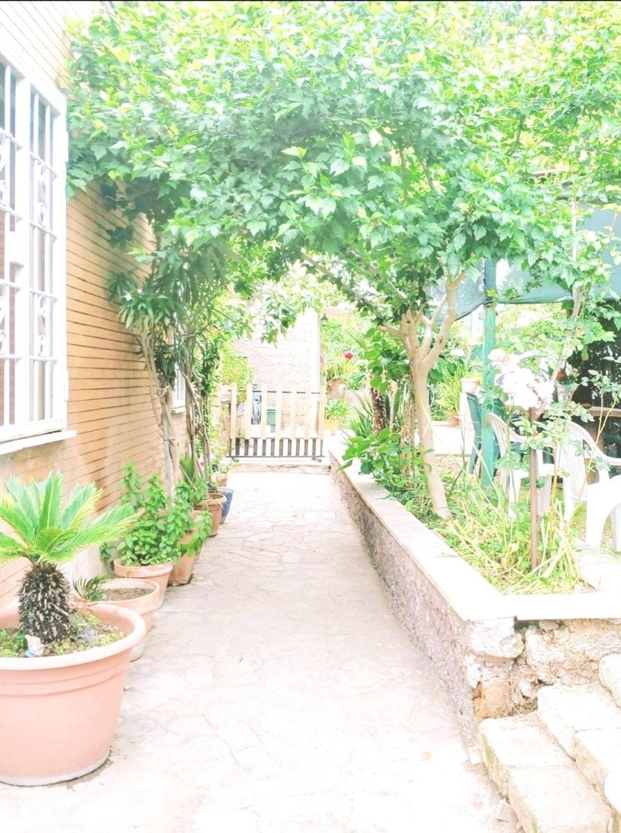 Dream of Eden Apartment in Rome