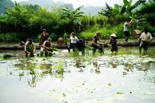 TAM COC LACASA HOMESTAY Vacation rental in Laos