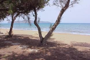 Fifty Shades of Blue 10 sec to sea 5PL 2BD 2BA Apartment in Crete