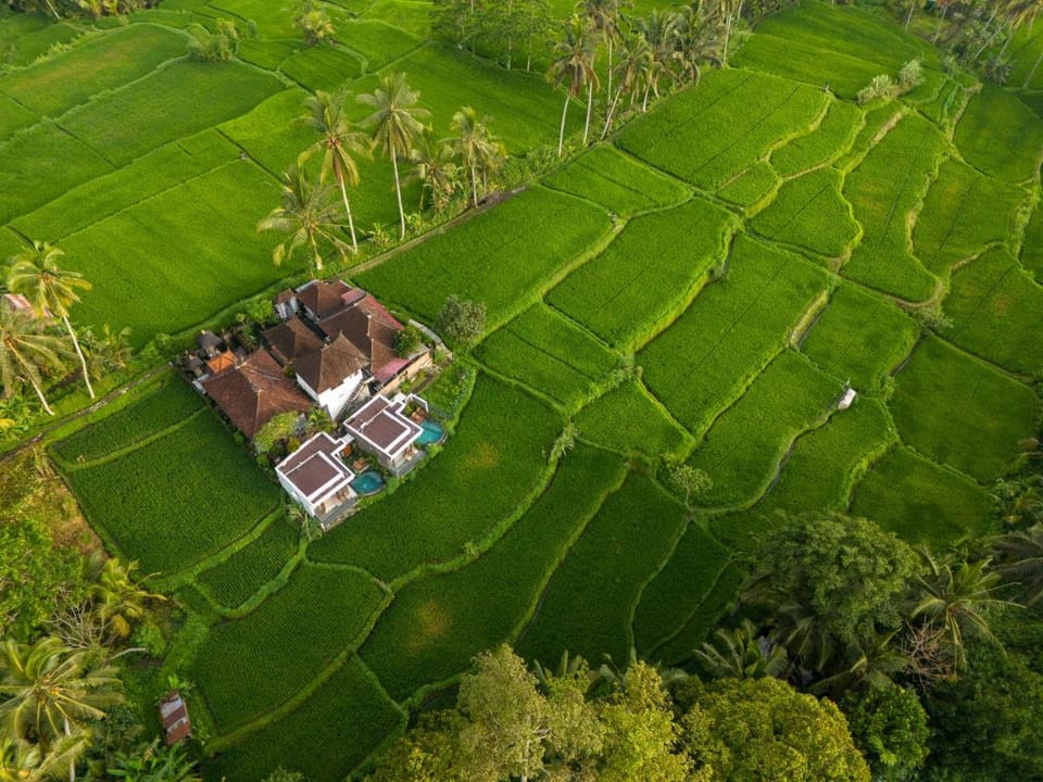 Umah Geina Ubud Vacation rental in Tampaksiring