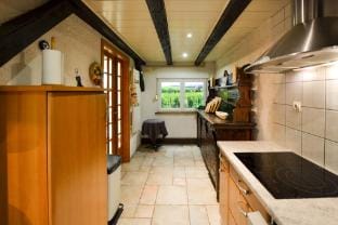 Gite oncle Yerry Vacation rental in Colmar