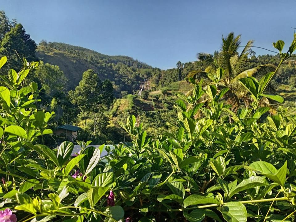 Spread view ella Hotel in Ella