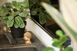 Cozy Green Oasis 2BR Apt a 3 Min Walk from Beach Apartment in Tel Aviv-Yafo