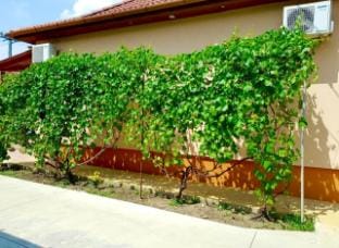 Hajdu Nova Apartman Apartment in Slovakia