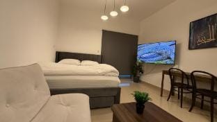 Modern Studio in Damac Park Tower-Near Dubai Mall Apartment in Dubai